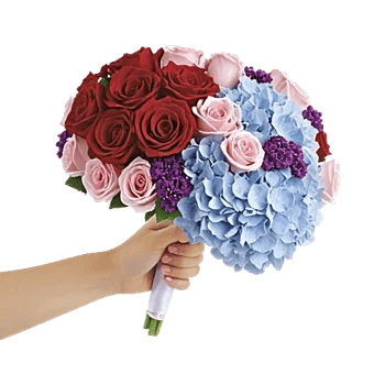 Crimson Rose Elegance