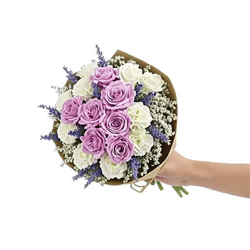 Petal Softness Display