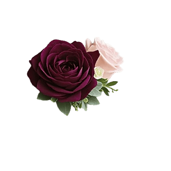 Delicate Petal Cascade