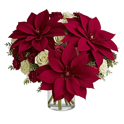 Delicate Petal Cascade