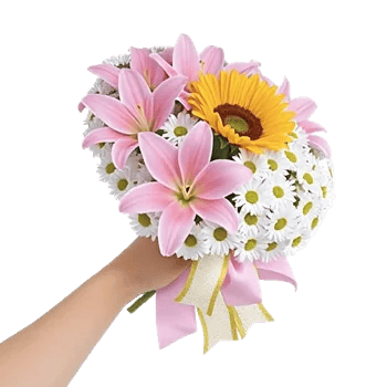 Blossom Harmony Display