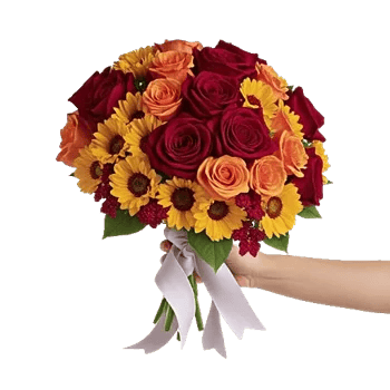 Blushing Rose Symphony