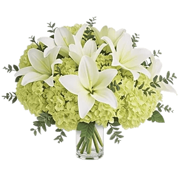 Graceful Lily Display
