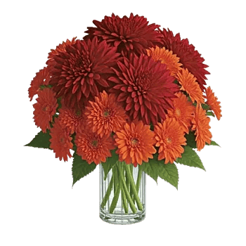 Crimson Blossom Harmony