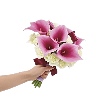 Elegant Calla Lilies