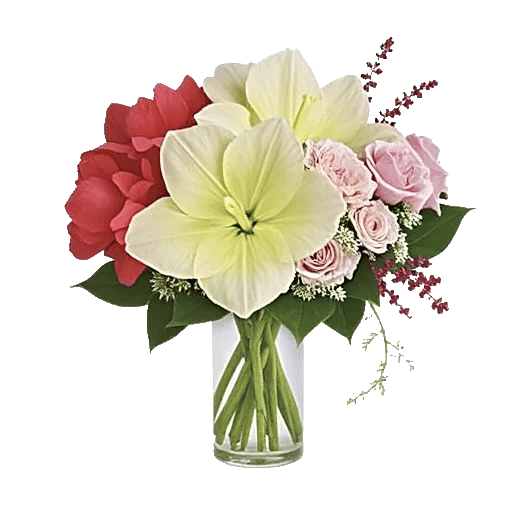 Ivory Blossom Radiance