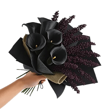 Elegant Calla Lilies
