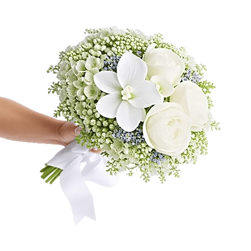 Ivory Blossom Radiance