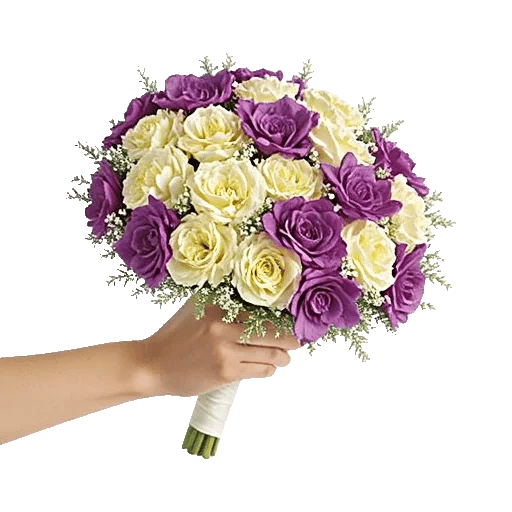Pastel Pink Roses