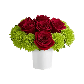 Crimson Rose Elegance