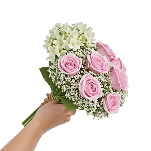 Blossom Radiant Whisper