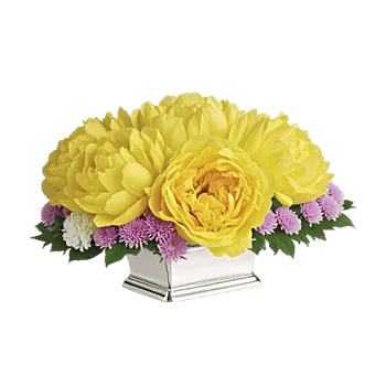 Delicate Petal Cascade