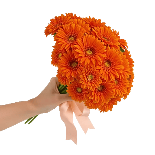 Petal Harmony Bliss