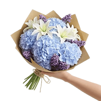 Serene Petal Harmony