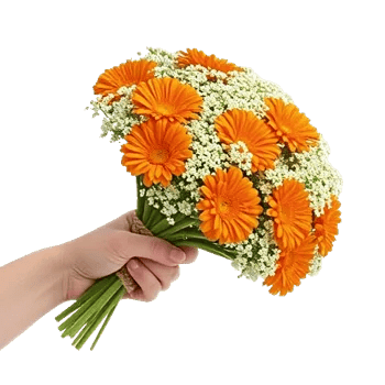 Petal Harmony Bliss