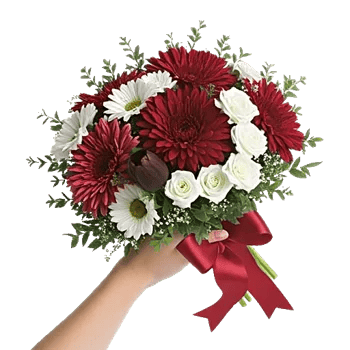 Crimson Blossom Harmony