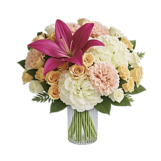 Ivory Blossom Radiance