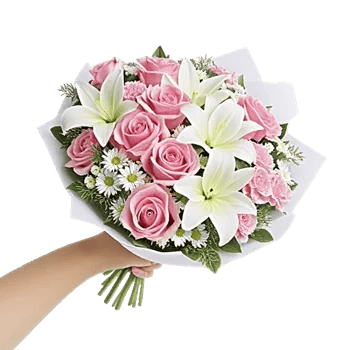 Pink Pastel Roses