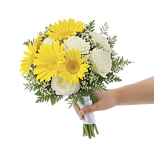 Enchanting Daisy Garden