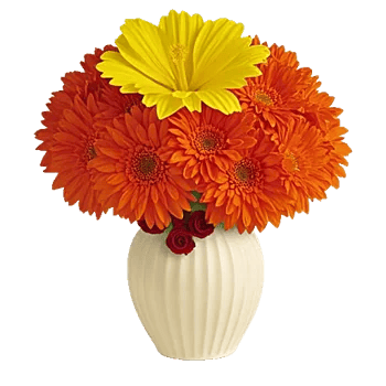 Radiant Bloom Cascade