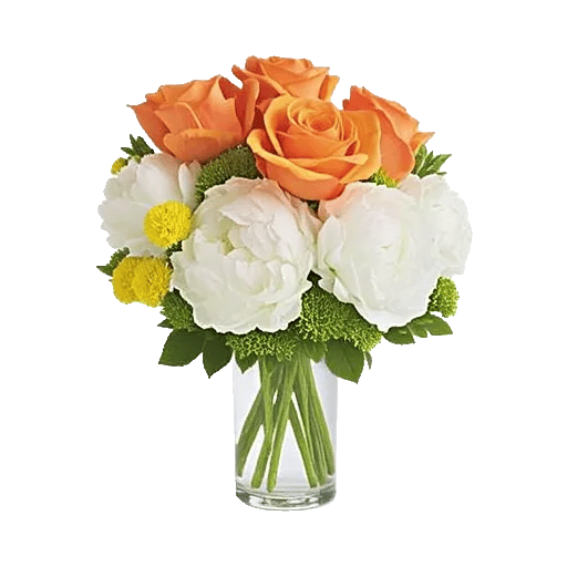 Petal Radiance Bliss