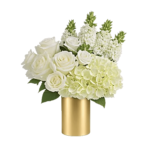 Ivory Blossom Radiance