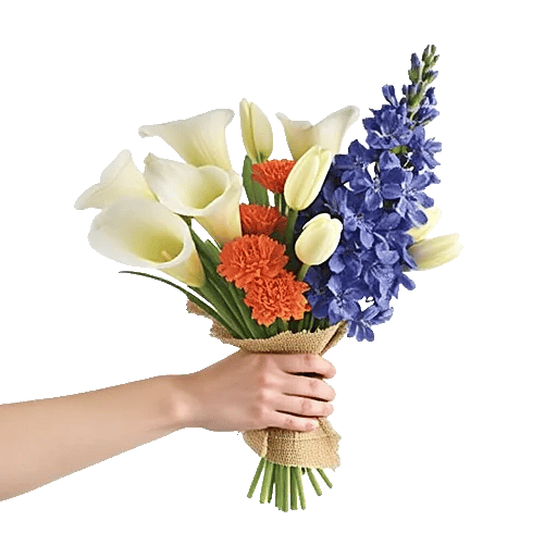 Elegant Calla Lilies