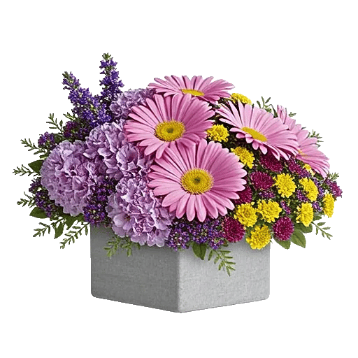 Blossom Petal Serenity