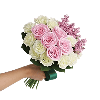Pastel Pink Roses