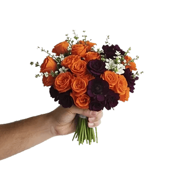 Soft Petal Embrace
