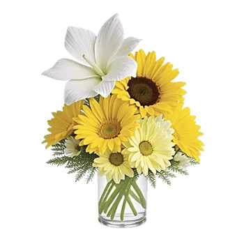 Petal Radiance Bliss