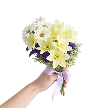 Ivory Garden Grace