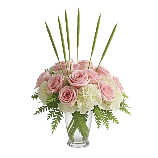 Ivory Blossom Radiance