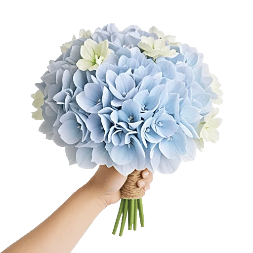 Serene Petal Harmony