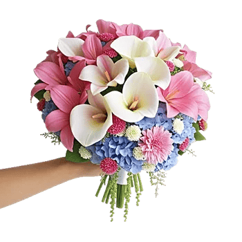 Blushing Rose Symphony