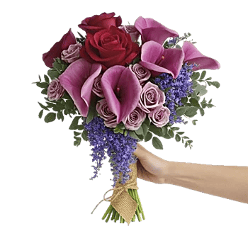 Crimson Rose Elegance