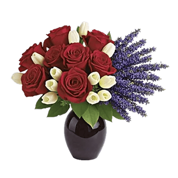 Crimson Blossom Harmony