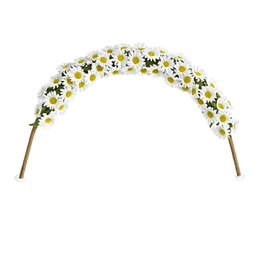 Delicate Petal Cascade