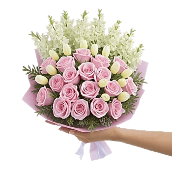 Pastel Pink Roses