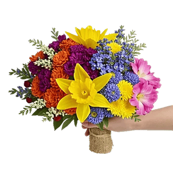 Blossom Harmony Display