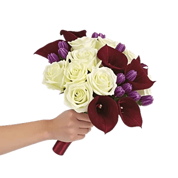 Elegant Calla Lilies