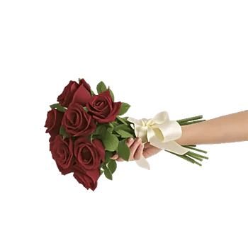 Crimson Rose Elegance