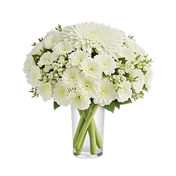 Minimalist White Orchids