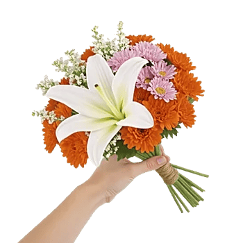 Graceful Lily Display