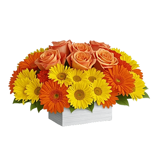 Petal Harmony Bliss