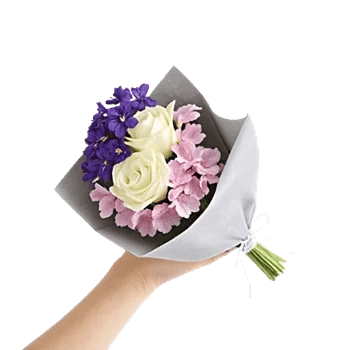 Blossom Petal Serenity