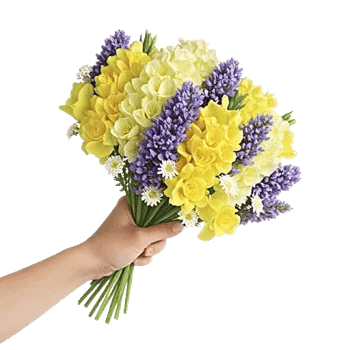 Blossom Harmony Display