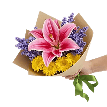 Blossom Harmony Display