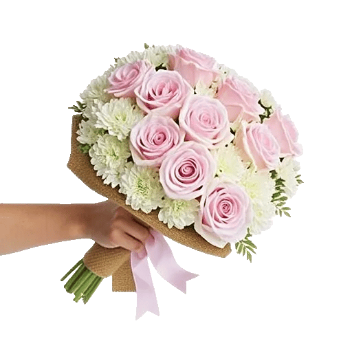 Blushing Rose Symphony