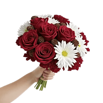 Crimson Rose Elegance